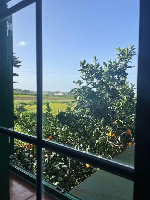 La Macadamia Villa ลาลากูนา ภายนอก รูปภาพ